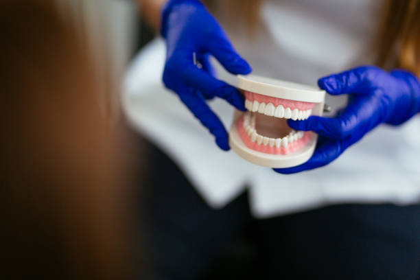 Trusted Elk Ridge, UT Holistic Dental Care Services Experts